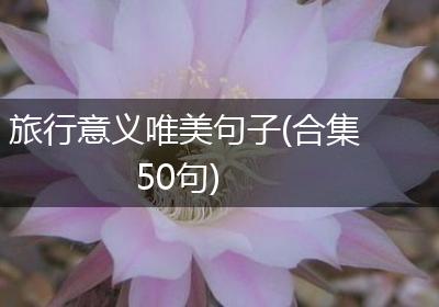 旅行意义唯美句子(合集50句)