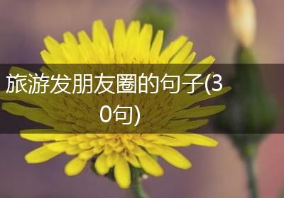 旅游发朋友圈的句子(30句)