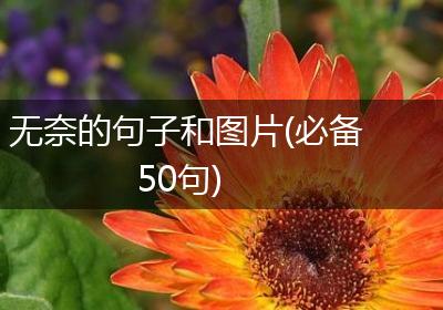 无奈的句子和图片(必备50句)