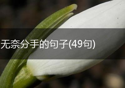 无奈分手的句子(49句)