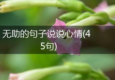 无助的句子说说心情(45句)