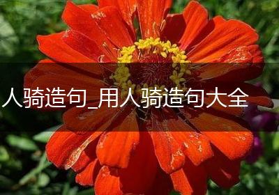 人骑造句_用人骑造句大全