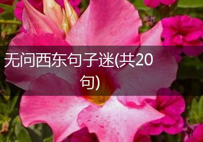 无问西东句子迷(共20句)
