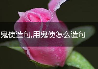 鬼使造句,用鬼使怎么造句