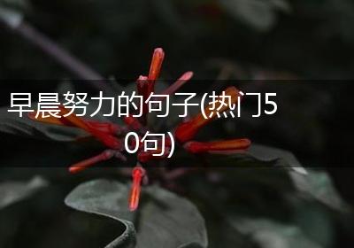 早晨努力的句子(热门50句)