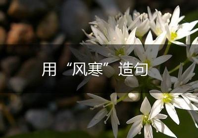 用“风寒”造句