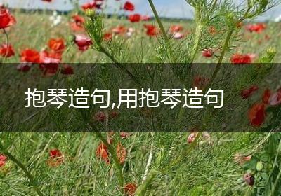 抱琴造句,用抱琴造句