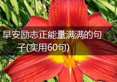早安励志正能量满满的句子(实用60句)