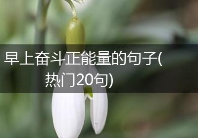 早上奋斗正能量的句子(热门20句)