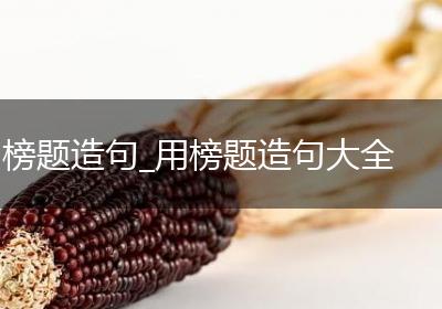 榜题造句_用榜题造句大全