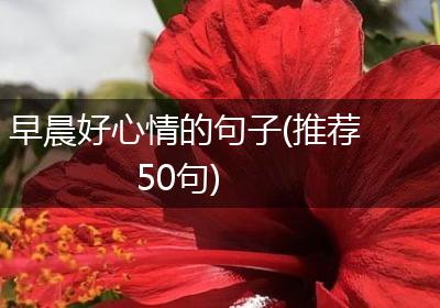 早晨好心情的句子(推荐50句)