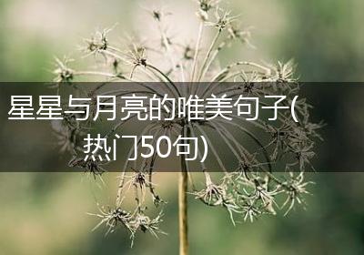 星星与月亮的唯美句子(热门50句)