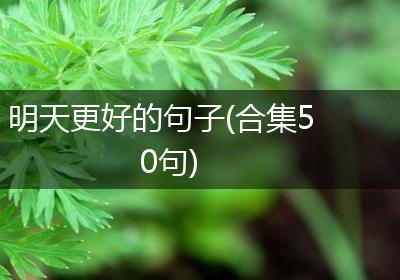 明天更好的句子(合集50句)