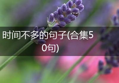 时间不多的句子(合集50句)