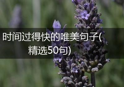 时间过得快的唯美句子(精选50句)
