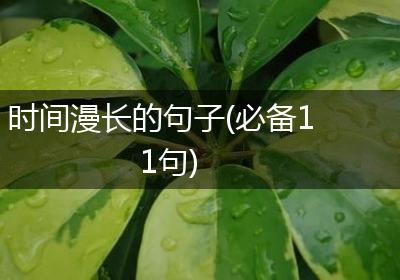 时间漫长的句子(必备11句)