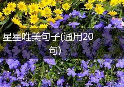 星星唯美句子(通用20句)