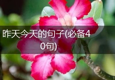 昨天今天的句子(必备40句)