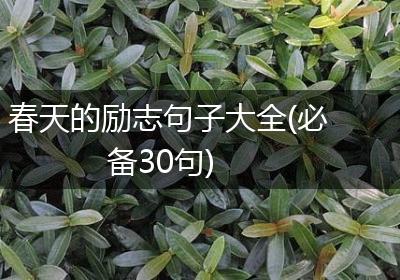 春天的励志句子大全(必备30句)