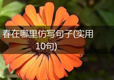 春在哪里仿写句子(实用10句)