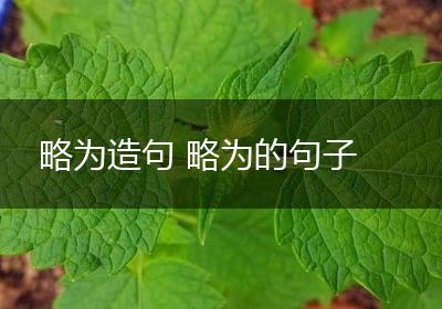 略为造句 略为的句子