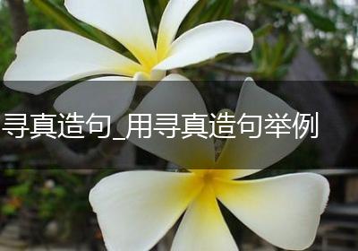 寻真造句_用寻真造句举例