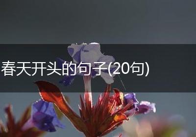 春天开头的句子(20句)