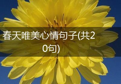 春天唯美心情句子(共20句)