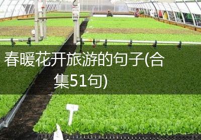 春暖花开旅游的句子(合集51句)