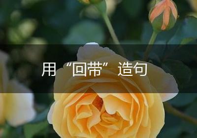 用“回带”造句