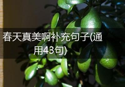 春天真美啊补充句子(通用43句)
