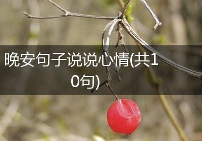 晚安句子说说心情(共10句)