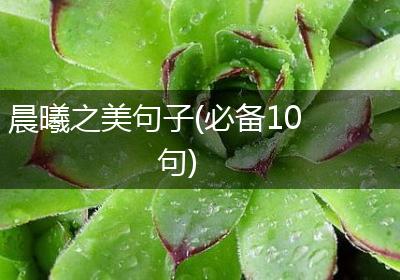 晨曦之美句子(必备10句)