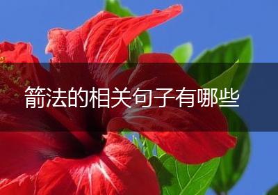 箭法的相关句子有哪些