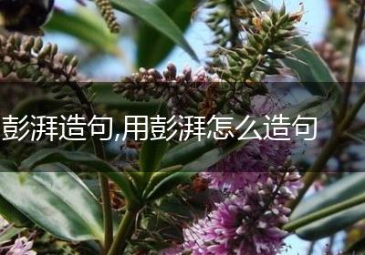 彭湃造句,用彭湃怎么造句