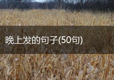 晚上发的句子(50句)