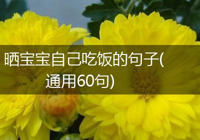晒宝宝自己吃饭的句子(通用60句)