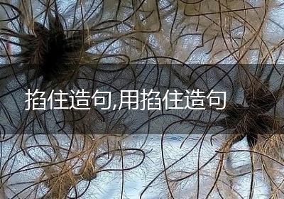 掐住造句,用掐住造句