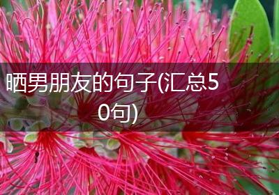 晒男朋友的句子(汇总50句)