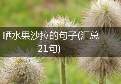 晒水果沙拉的句子(汇总21句)
