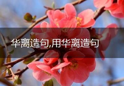 华离造句,用华离造句