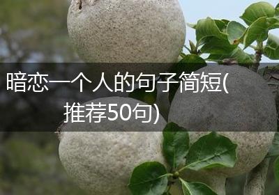 暗恋一个人的句子简短(推荐50句)