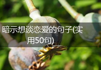 暗示想谈恋爱的句子(实用50句)