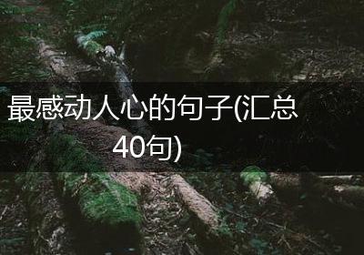 最感动人心的句子(汇总40句)