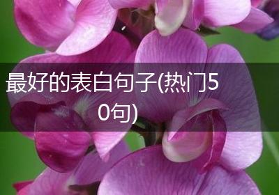 最好的表白句子(热门50句)