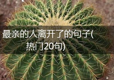 最亲的人离开了的句子(热门20句)
