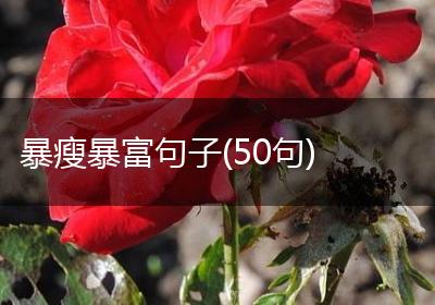 暴瘦暴富句子(50句)
