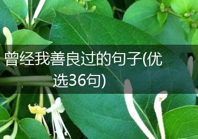 曾经我善良过的句子(优选36句)