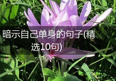 暗示自己单身的句子(精选10句)