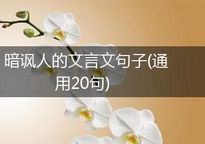 暗讽人的文言文句子(通用20句)